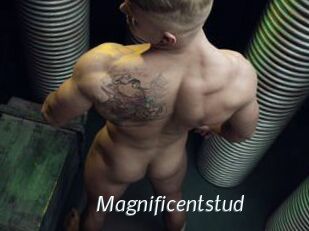 Magnificentstud