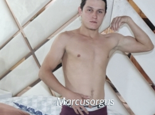 Marcusorgus