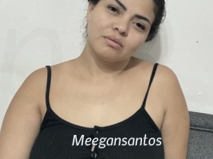 Meegansantos