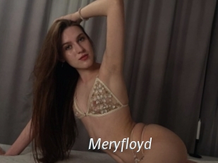 Meryfloyd