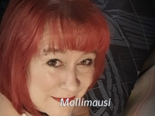 Mollimausi