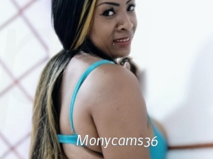 Monycams36