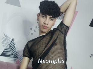 Neoraptis