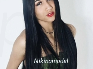 Nikinamodel