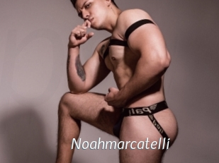 Noahmarcatelli