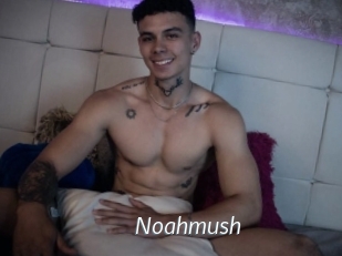 Noahmush