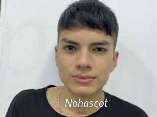 Nohascot