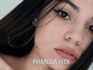 PAMELA_HTX