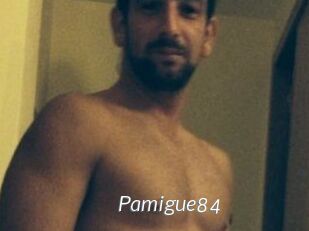 Pamigue84