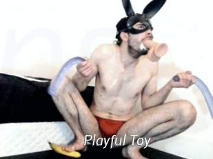 Playful_Toy