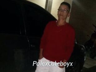 Polexcuteboyx