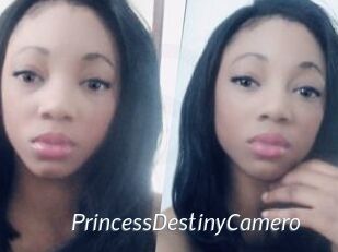 PrincessDestinyCamero