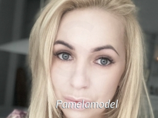 Pamelamodel