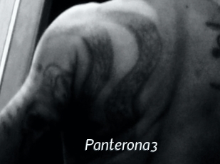 Panterona3