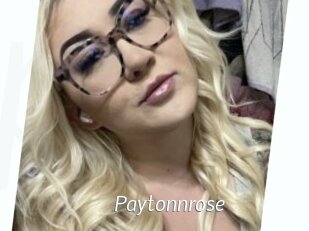 Paytonnrose