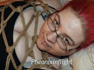 Pheonixinflight