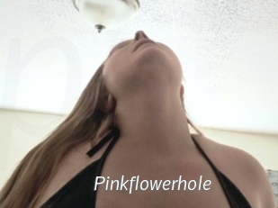 Pinkflowerhole