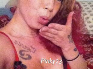 Pinky23