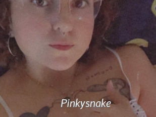 Pinkysnake