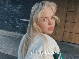 Plantarosa