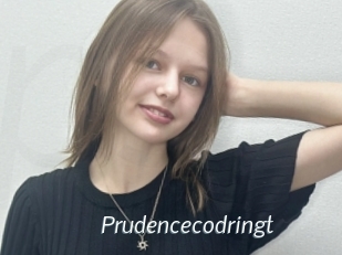 Prudencecodringt