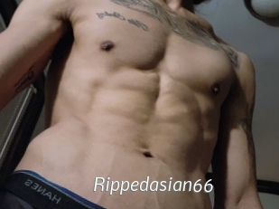 Rippedasian66