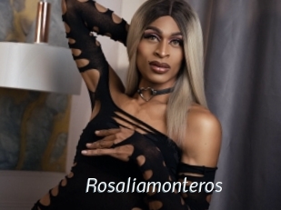 Rosaliamonteros