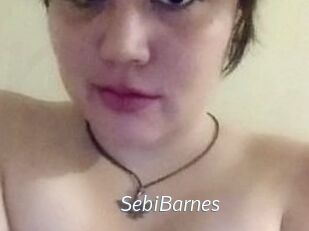 Sebi_Barnes