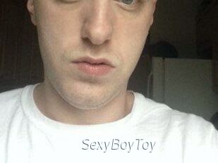 SexyBoyToy