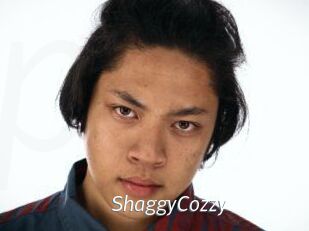 ShaggyCozzy