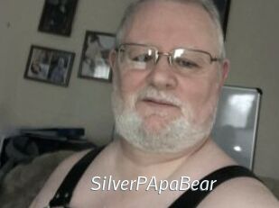 SilverPApaBear