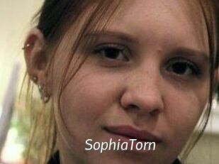 SophiaTorn