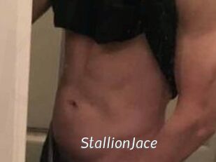 StallionJace