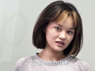 Sandrabricks