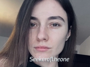 Seekeroftheone