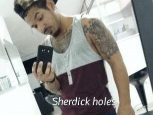 Sherdick_holes