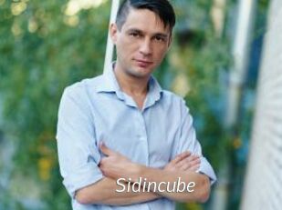 Sid_incube