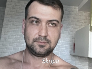 Skripa