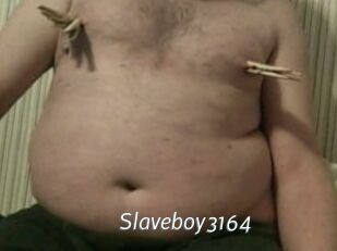 Slaveboy3164