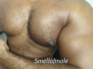 Smellofmale