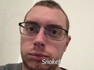 Snakefl