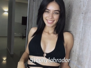 Stephylabrador