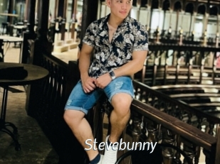 Stevebunny