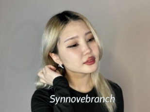 Synnovebranch