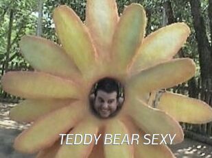 TEDDY_BEAR_SEXY