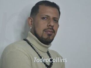 TadeoCollins