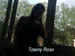 Tawny_Rose