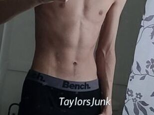 TaylorsJunk