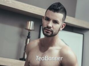 TeoBanner