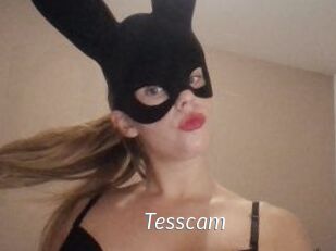 Tesscam